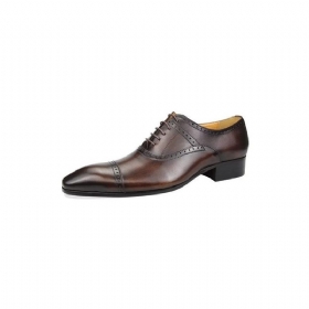 Muške Svečane Cipele Deluxe Oxford Lavishnuptial Brogues